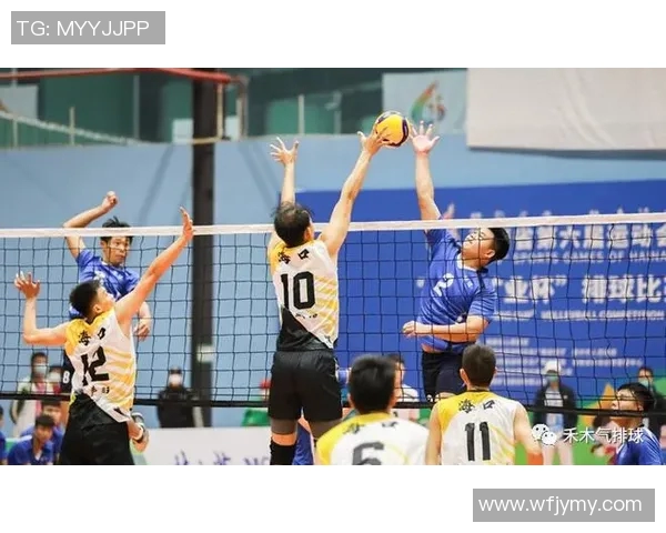 重庆排球队战术分析与发展方向探讨助力球队提升竞技水平